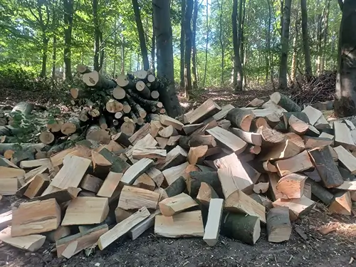 Tvrdé dřevo